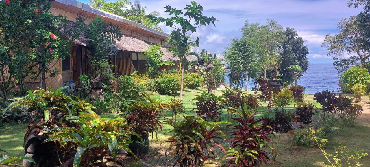 Resort Bohol-lahoy Dive
