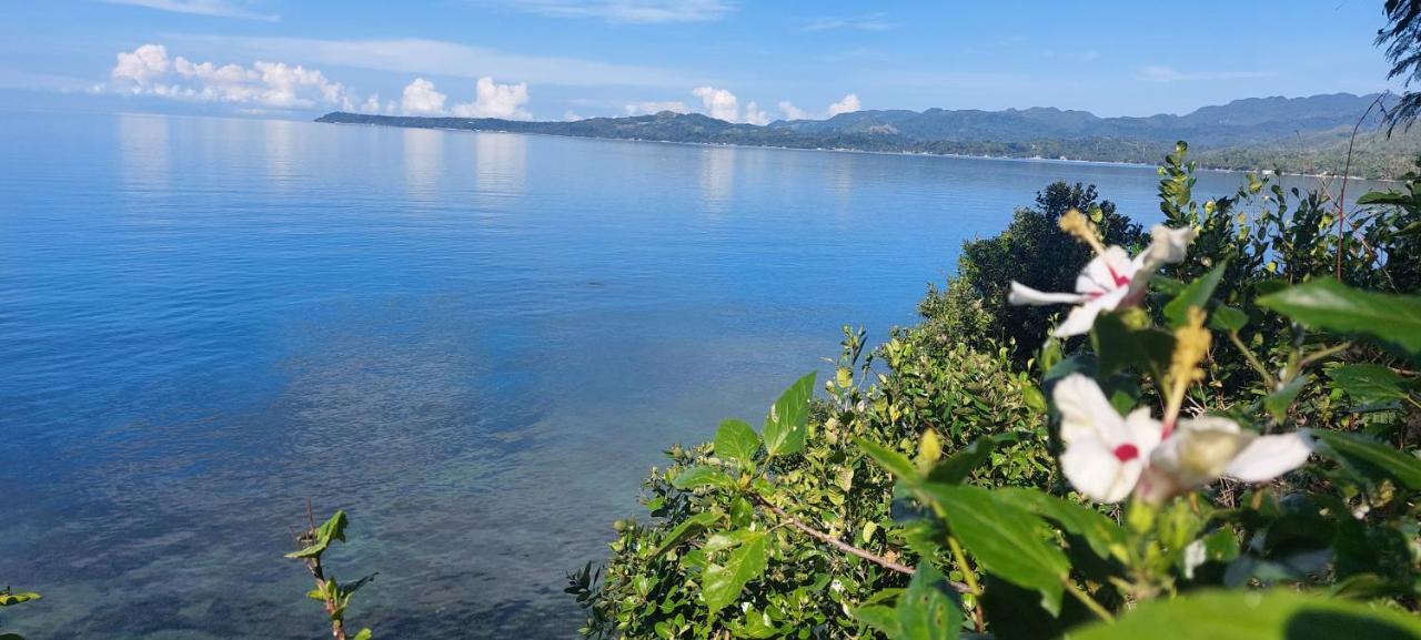 Bohol-lahoy Dive 3*
