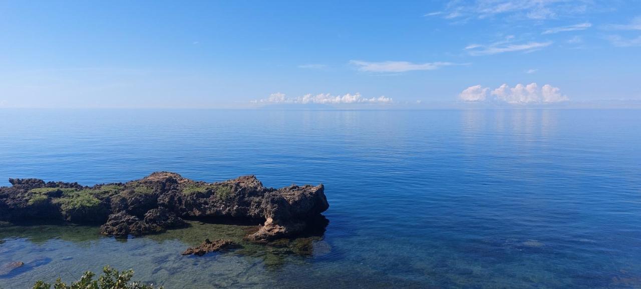 Bohol-lahoy Dive