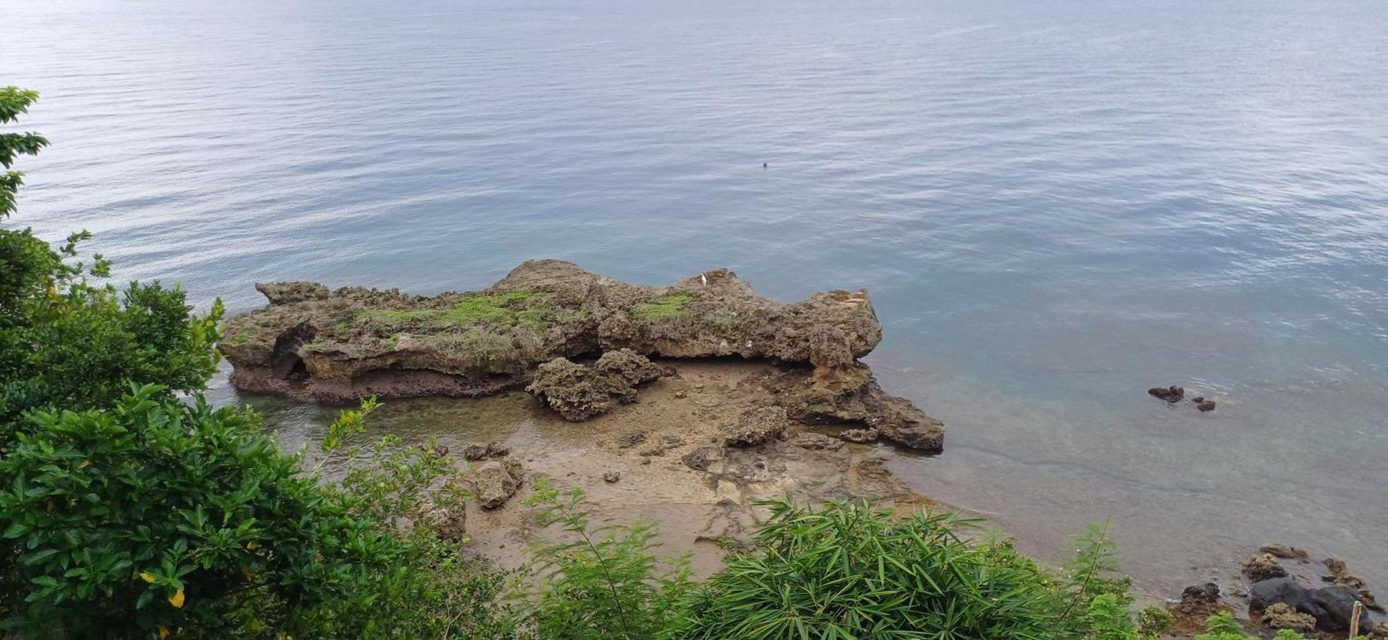 Bohol-lahoy Dive Resort 3*