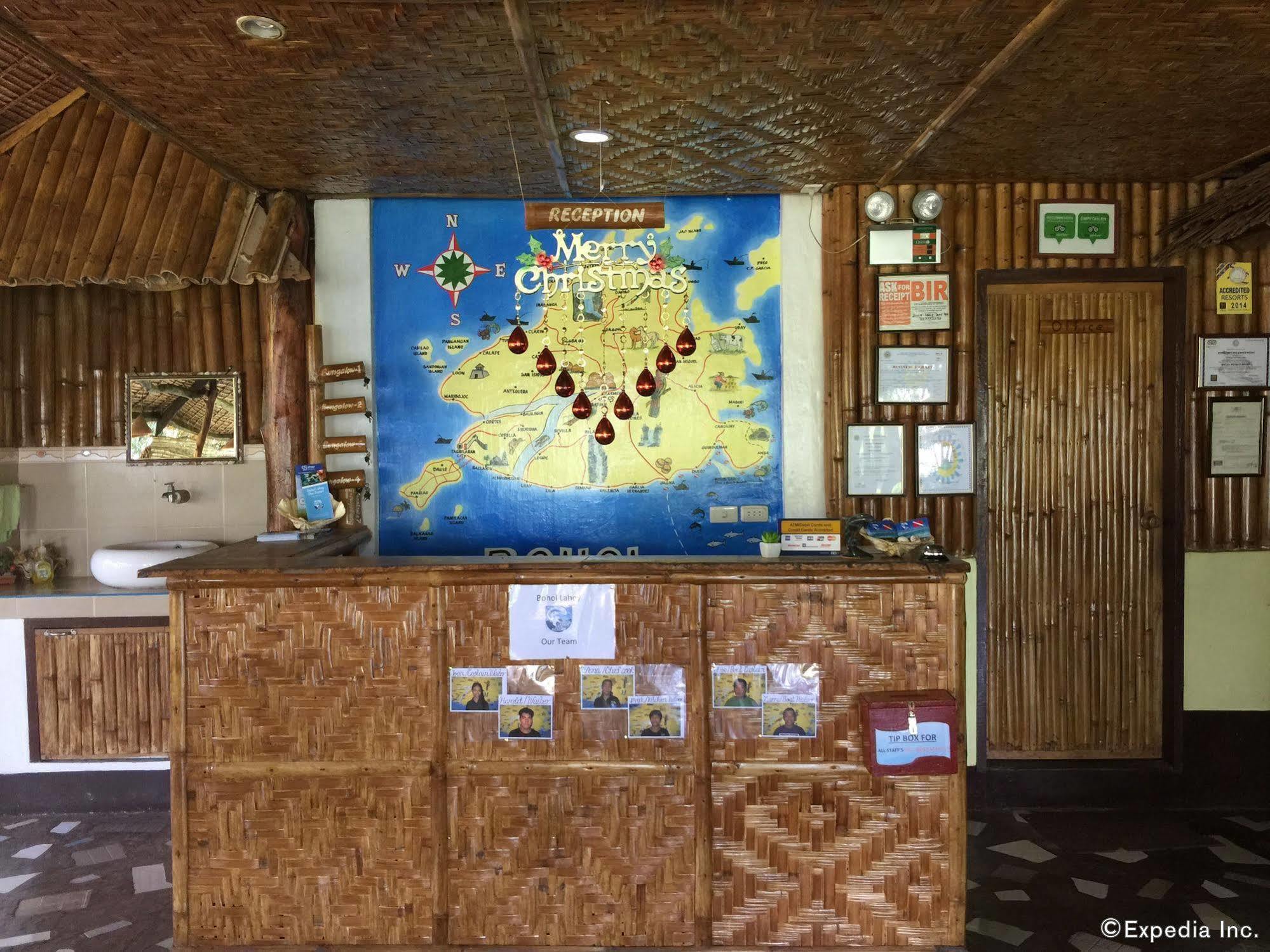 Bohol-lahoy Dive
