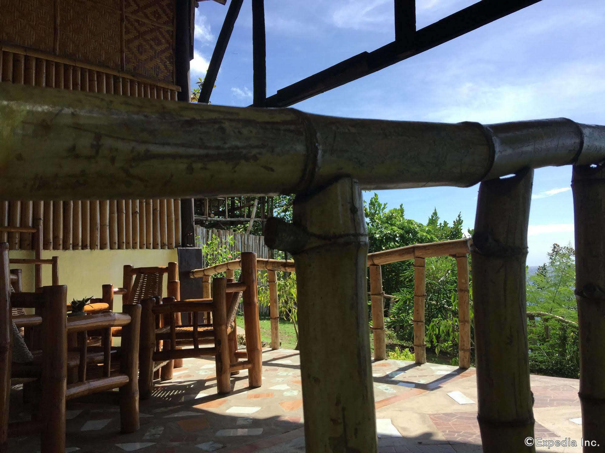 Bohol-lahoy Dive