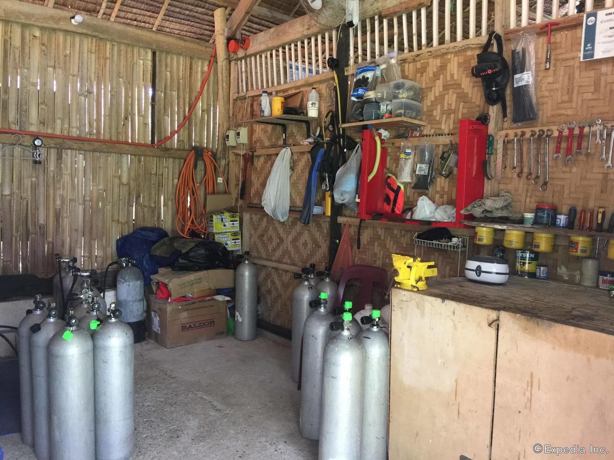 Bohol-lahoy Dive