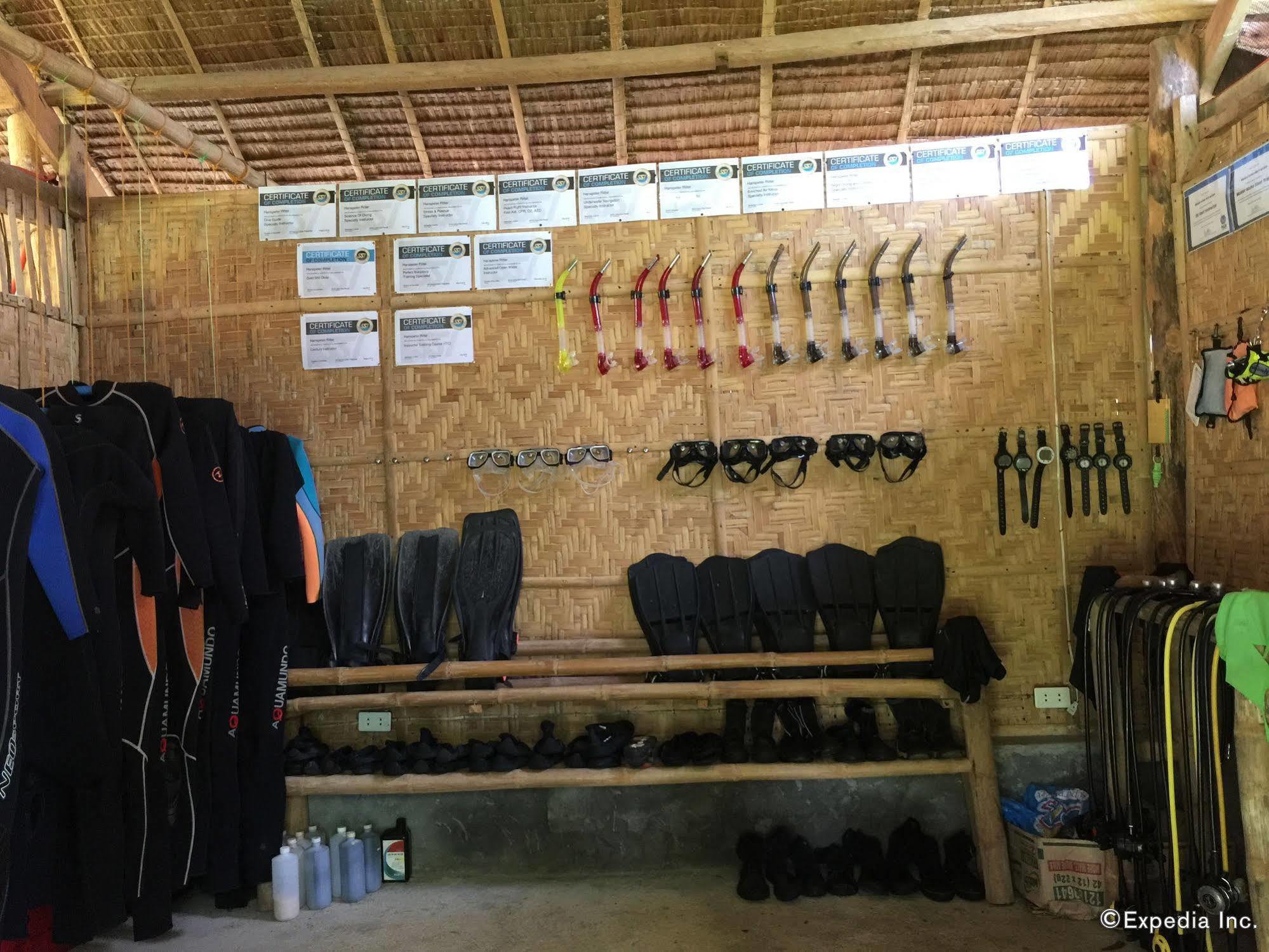 Bohol-lahoy Dive