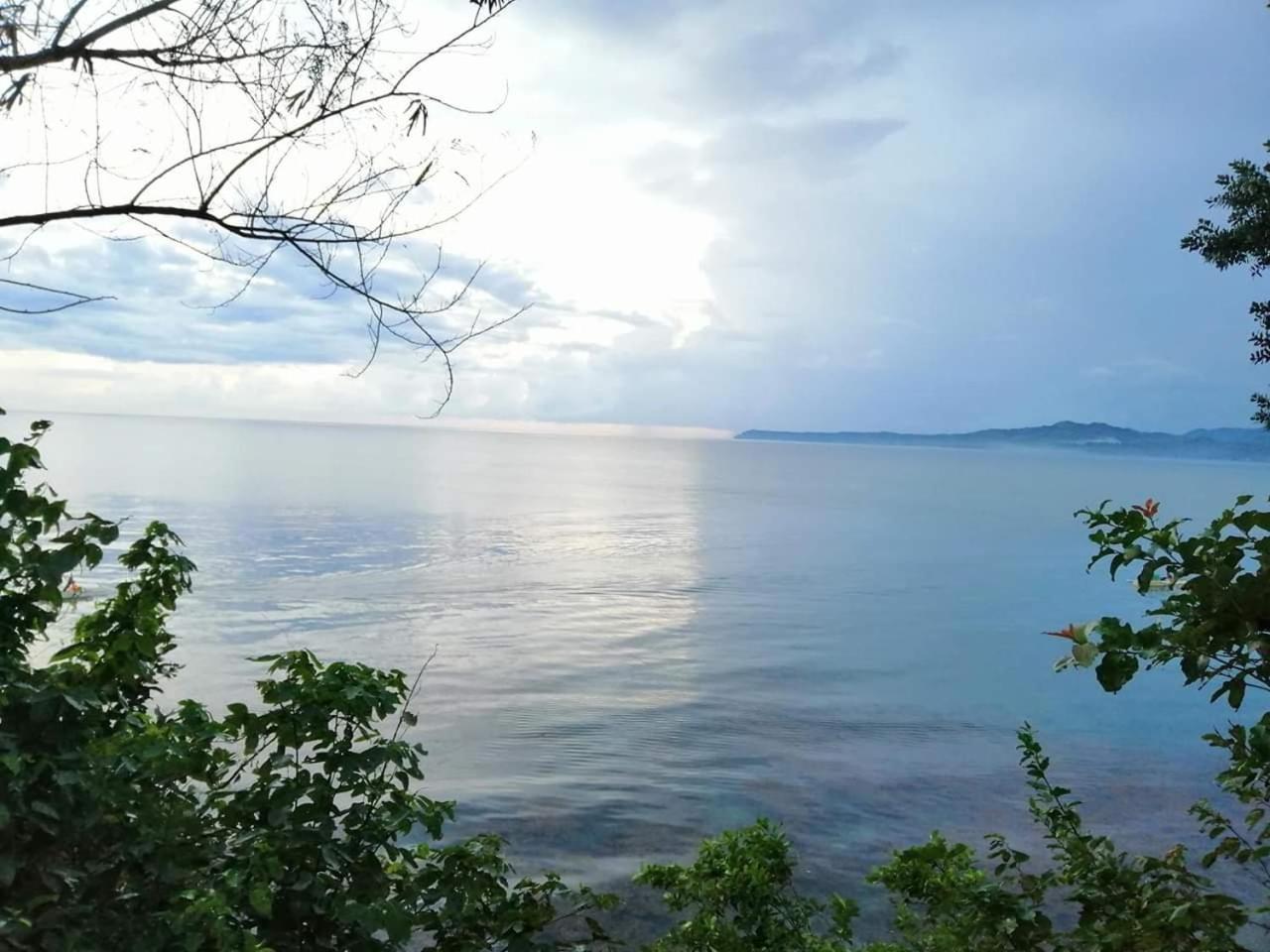 Bohol-lahoy Dive