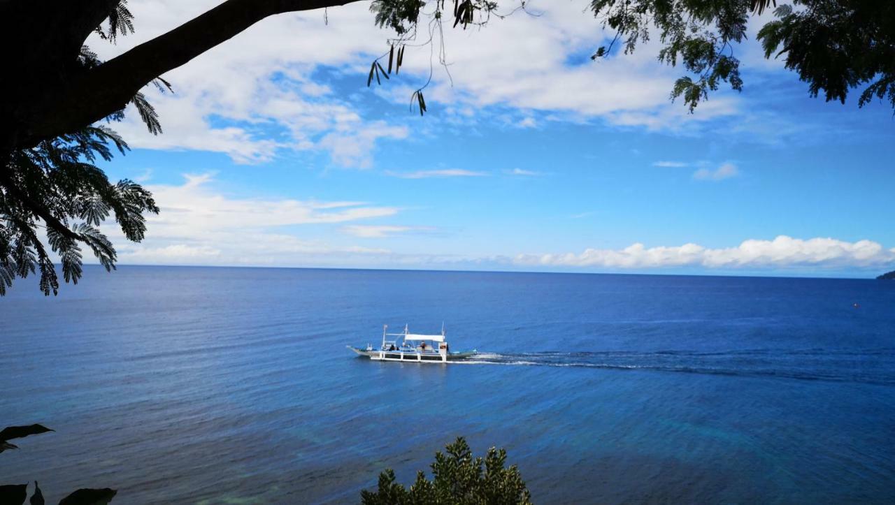 Bohol-lahoy Dive 3* Guindulman